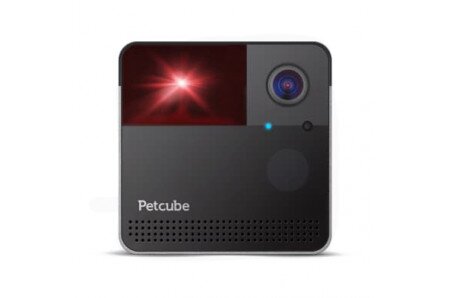petcube play