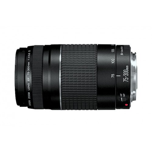 Canon EF 75-300mm Telephoto Zoom Lens - f/4-5.6 III