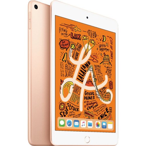 Apple iPad mini 7.9-inch - Gold - 64GB