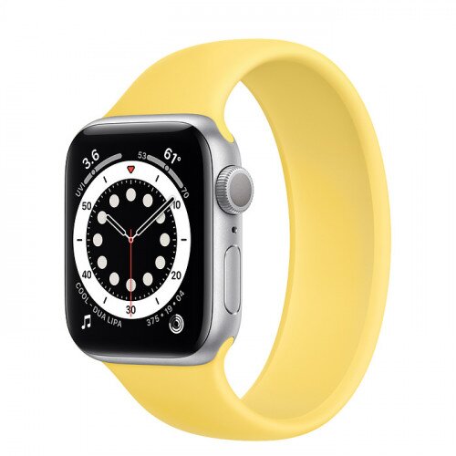 Apple Watch Series 6 Silver Aluminum Case with Solo Loop - 40mm - Size-6 - Ginger