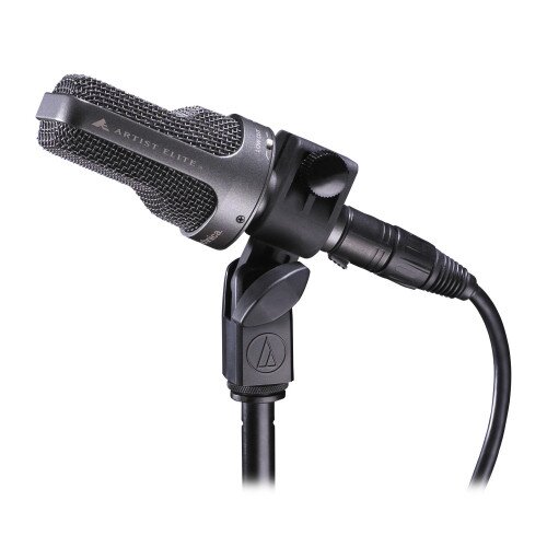 Audio-Technica AE3000 Cardioid Condenser Instrument Microphone
