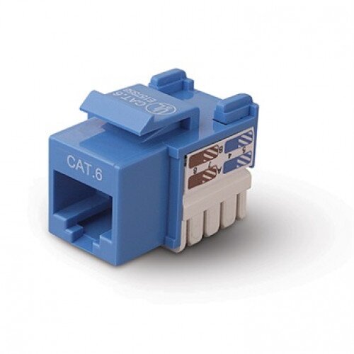 Belkin Cat6 Keystone Jacks - Blue