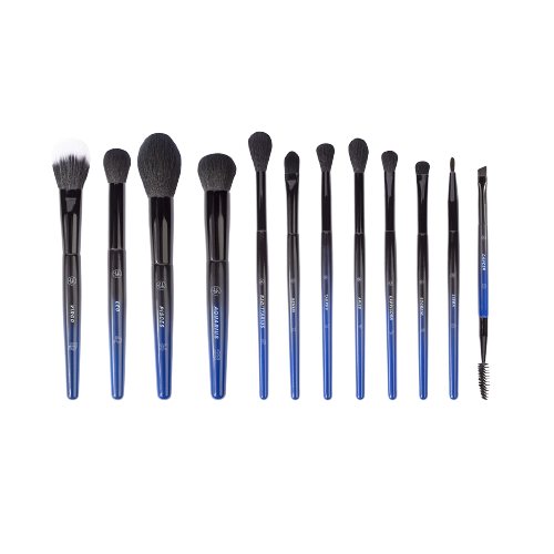 BH Cosmetics Constellation 12 Piece Face & Eye Brush Set