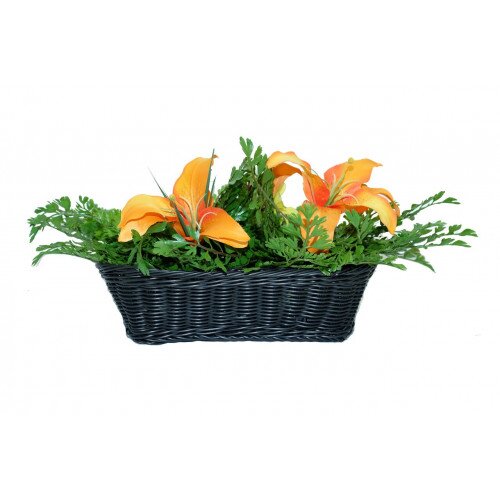 Bush Baby Fern WiFi HD Hidden Camera - Low Lux