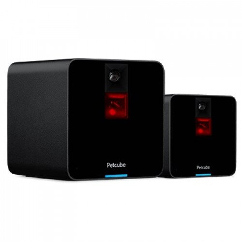Petcube Camera 2-Pack - Carbon Black