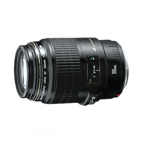 Canon EF 100mm Macro Lens