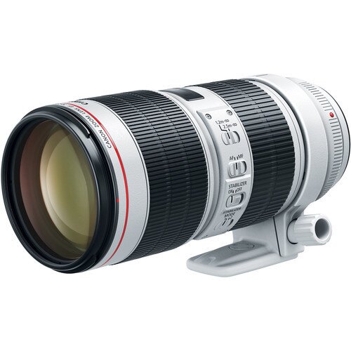 Canon EF 70-200mm f/2.8L IS III USM Telephoto Zoom Lens