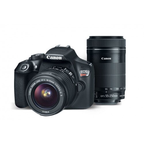 Canon EOS Rebel T6 EF-S 18-55 IS II & EF-S 55-250mm f/4-5.6 IS STM