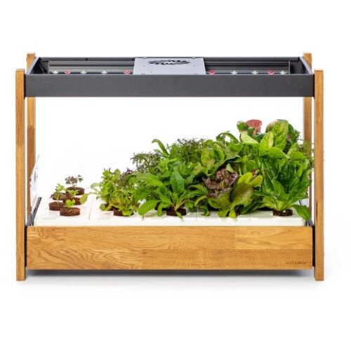 Click & Grow 25 Indoor Garden