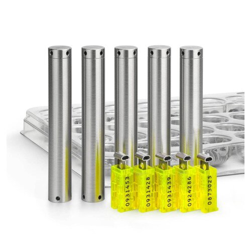 Cryptosteel Seed24 MAX QUINTET