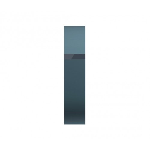 Fitbit Flex Classic Band - Slate - Large