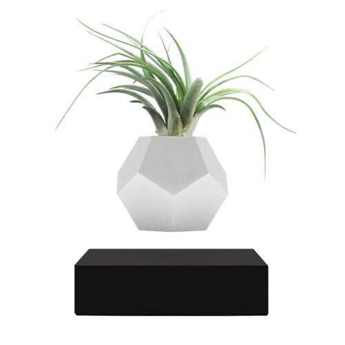 Flyte Lyfe Levitating Planter - Black