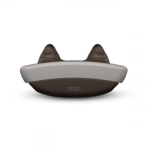 Garmin Delta Inbounds System