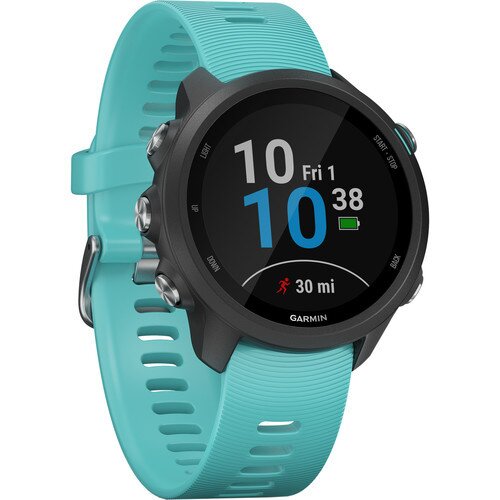 Garmin Forerunner 245 Running Watch