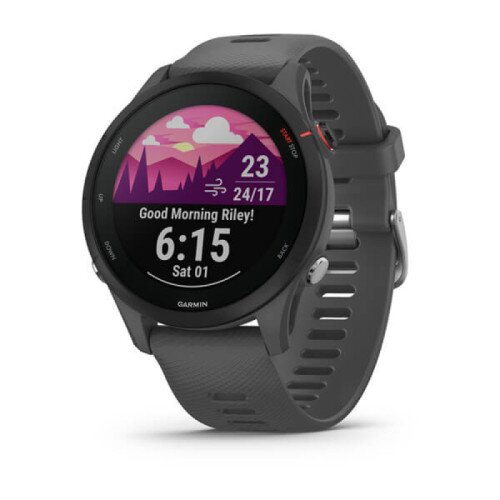 Garmin Forerunner 255 GPS Smartwatch - Slate Gray - 46mm