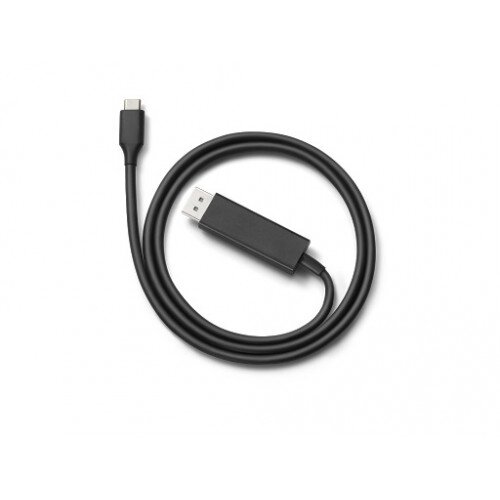 Google USB Type-C to DisplayPort Cable
