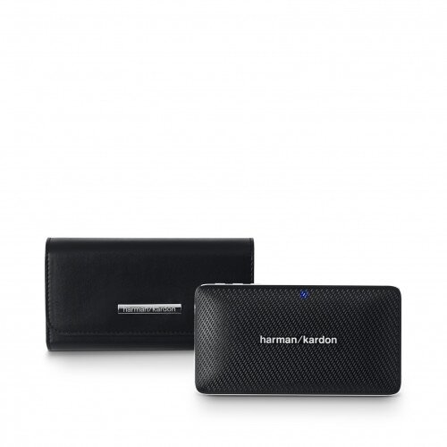 Harman Kardon Esquire Mini Case