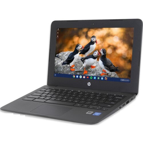 HP 11.6" 11a-nb0013dx Chromebook