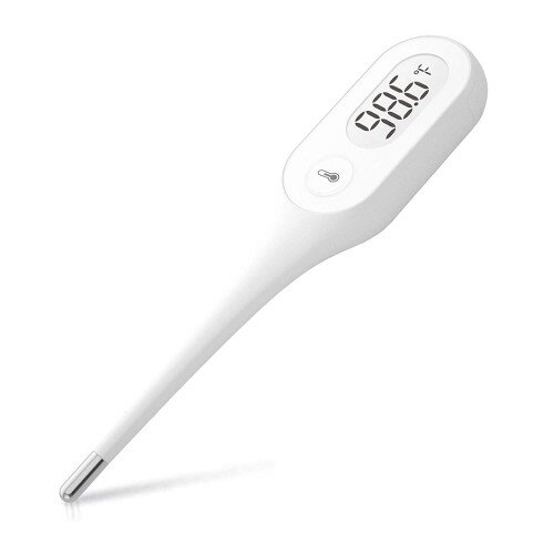 iHealth PT1 Clinical Digital Thermometer