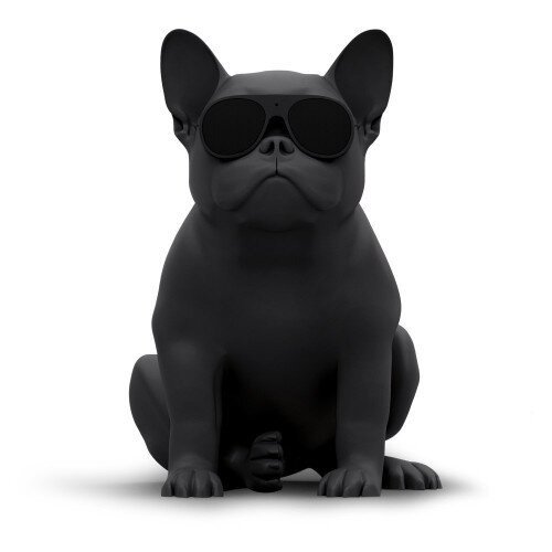 Jarre AeroBull HD1 Speaker - Matt Black