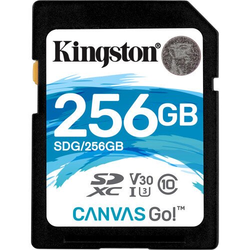 Kingston Canvas Go! Class 10 SDHC/SDXC Card - 256GB