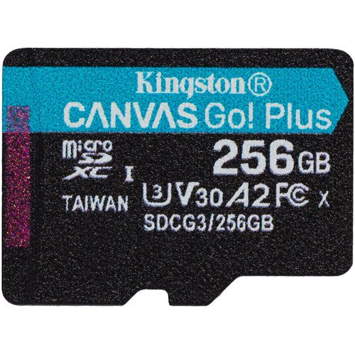 Kingston Canvas Go! Plus MicroSD Memory Card - 256GB - None