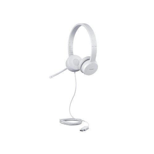 Lenovo 110 Stereo USB Headset