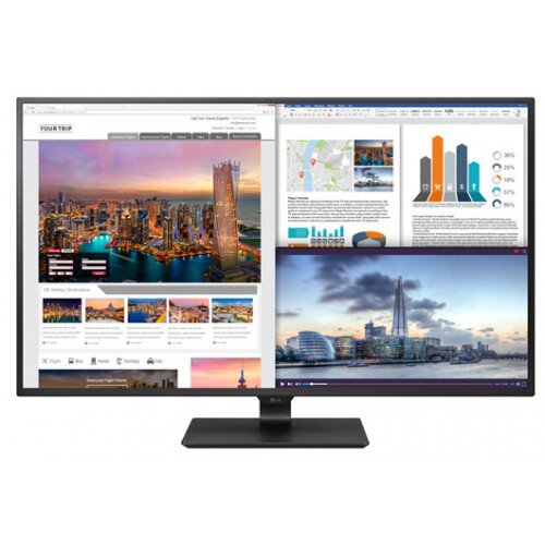LG 43UD79-B 43" Class 4K UHD IPS LED Monitor
