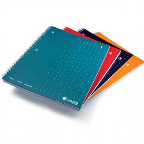 Livescribe Single Subject Notebook, 4-Pack (#1-4)