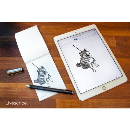 Buy Livescribe Symphony Smartpen online in Pakistan Tejar.pk