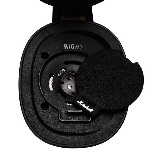 Marshall Monitor F.T.F. Filter