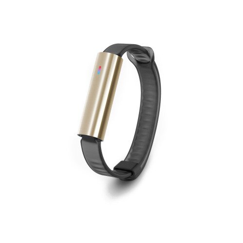 Misfit Ray Fitness + Sleep Tracker - Black Sport Band - Gold Tone