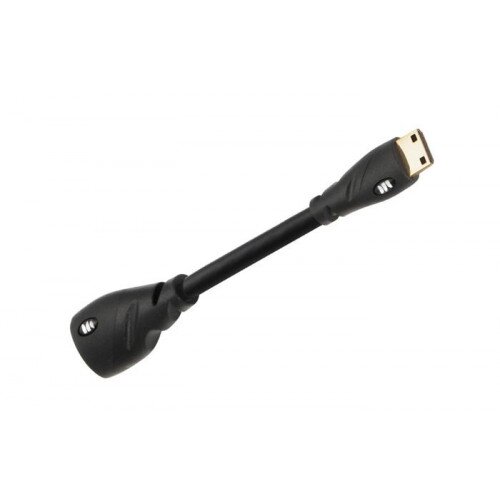 Monster Advanced HDMI Mini to Standard HDMI Camcorder Adapter