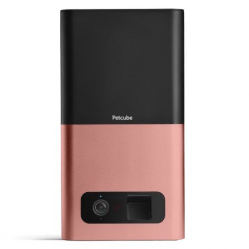 Petcube Bites HD Pet Camera - Single - Rose Gold