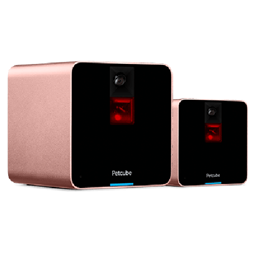 Petcube Camera 2-Pack - Rose Gold