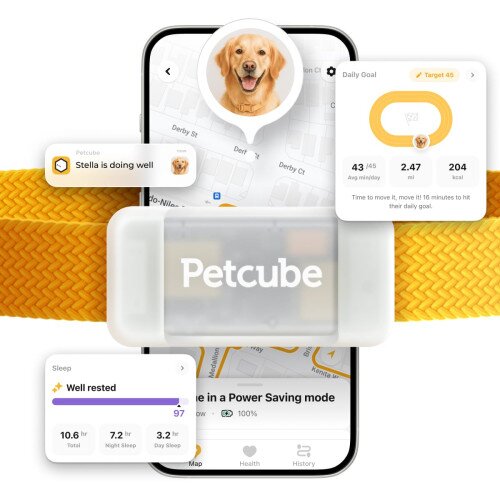 Petcube GPS Tracker for Dogs