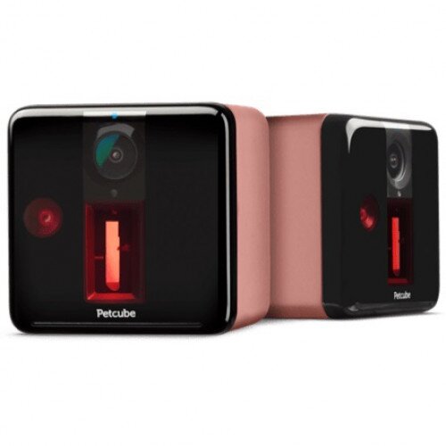 Petcube Play Interactive Wi-Fi Pet Camera - 2-Pack - Rose Gold