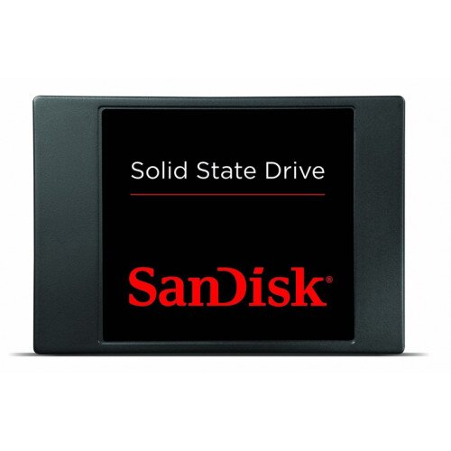 SanDisk Solid State Drive - 256GB