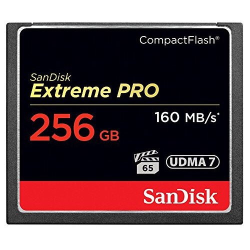 SanDisk Extreme Pro CompactFlash Memory Card - 256GB