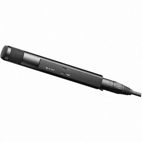 Sennheiser MKH 30-P48 Microphone