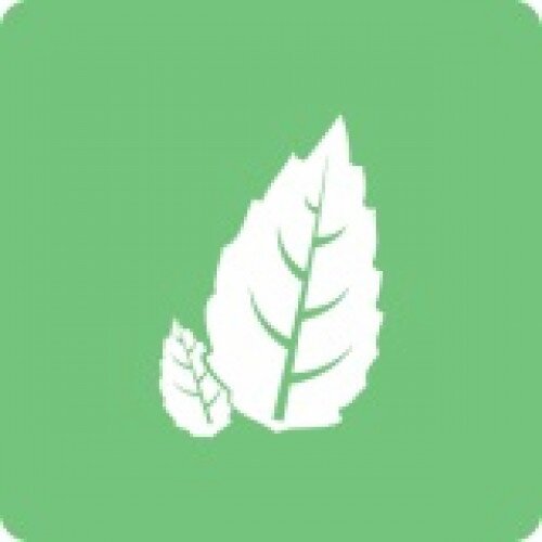 Sensorwake Scent Capsules - Peppermint