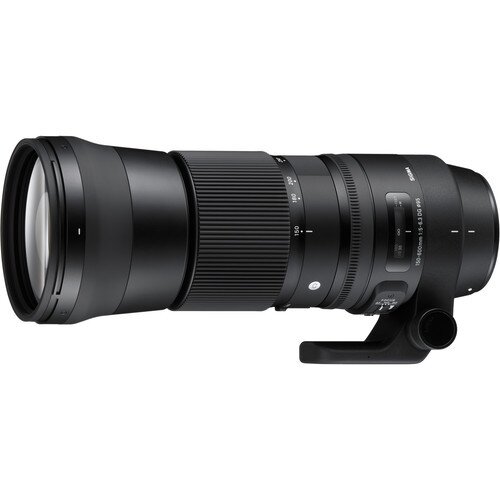Sigma 150-600mm F5-6.3 DG OS HSM Contemporary Lens - Canon