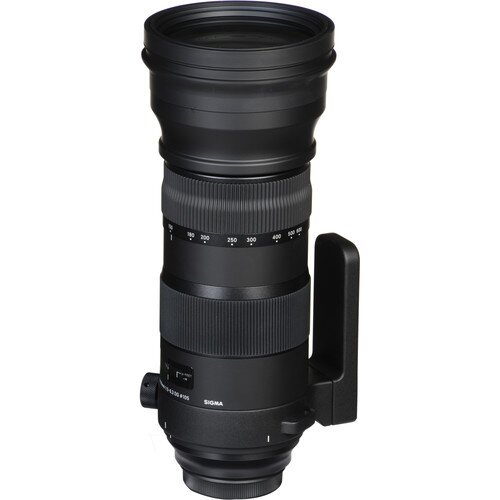 Sigma 150-600mm F5-6.3 DG OS HSM Sports Lens - Nikon