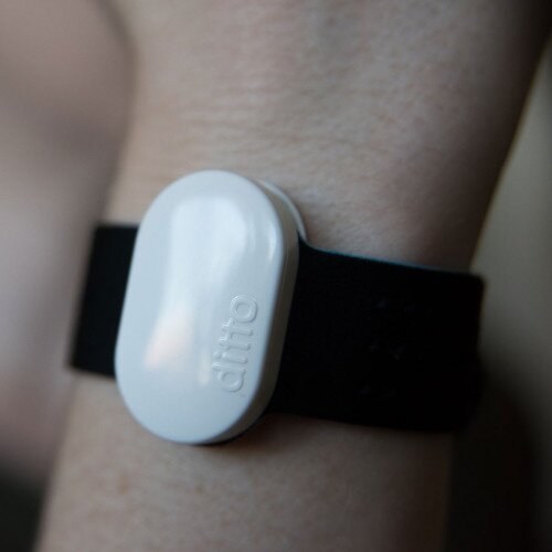 Simple Matters Replacement Wristband