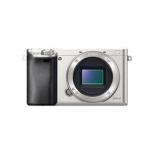 Sony α6000 E-Mount Camera with APS-C Sensor