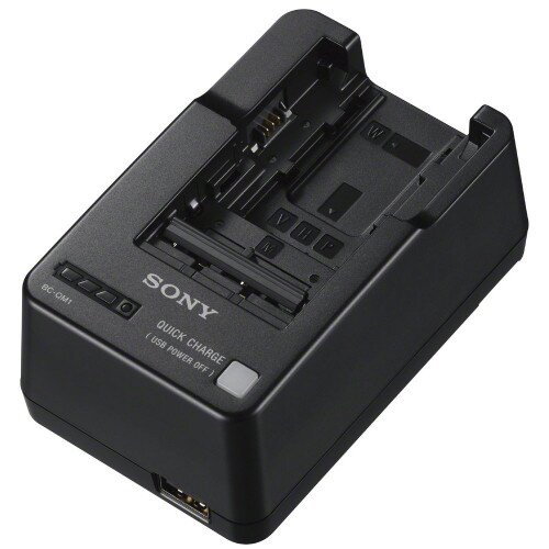 Sony Battery Charger - BC-QM1