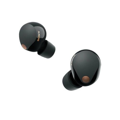 Sony WF-1000XM5 Truly Wireless Noise Canceling Earbuds - Black