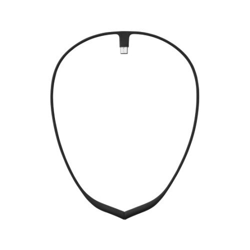 Upright Necklace - USB-C - Black