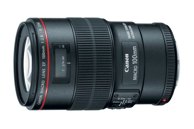 Canon MACRO LENS EF 100mm F2.8 - レンズ(単焦点)