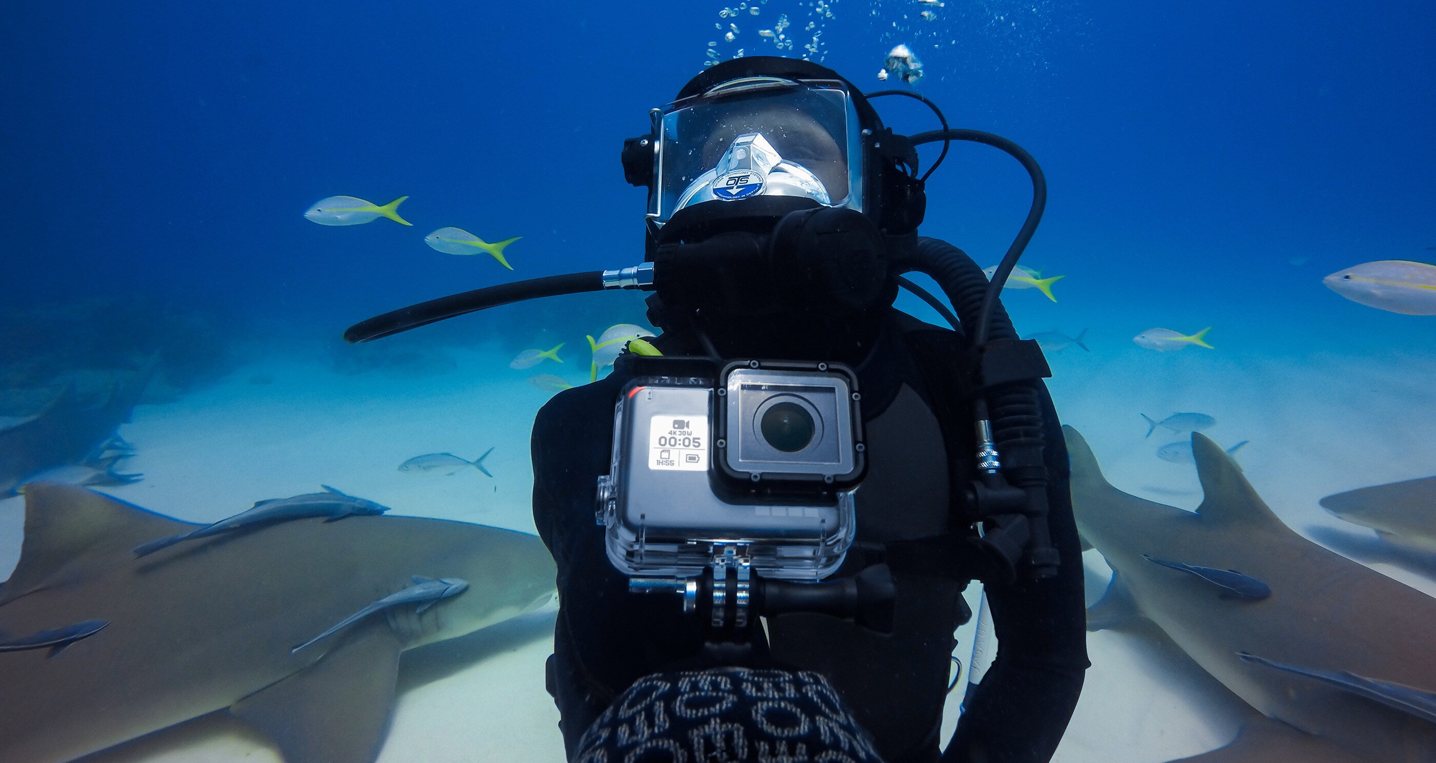 Gopro 10 Фото